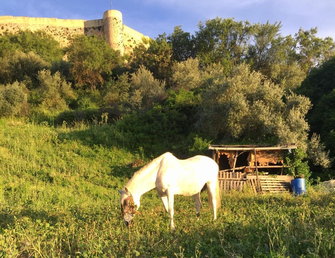 Atelier 88 Bed and Breakfast Alcala La Real Εξωτερικό φωτογραφία